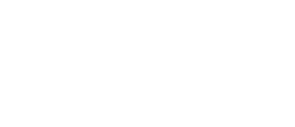 ice immersive,offre premium ic